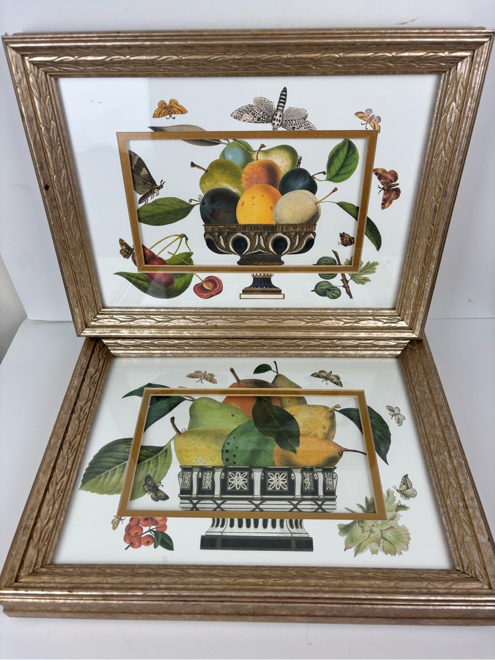 Pair of Gold Framed Fruit Still Life Wall Art Botanical Prints-Home Accents